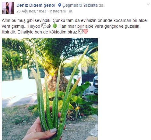 deniz didem senol facebook